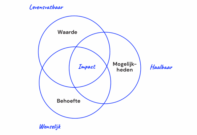 Impactmodel van theFactor.e
